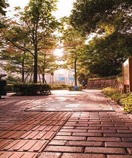 Professional Sidewalk Repair Contractor